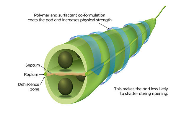 Pod sealant diagram