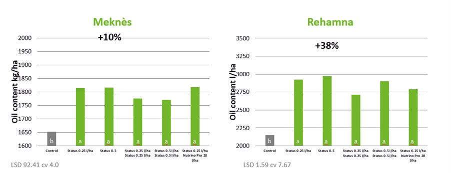 Graph showing increase in oil in olives after biostimulant use
