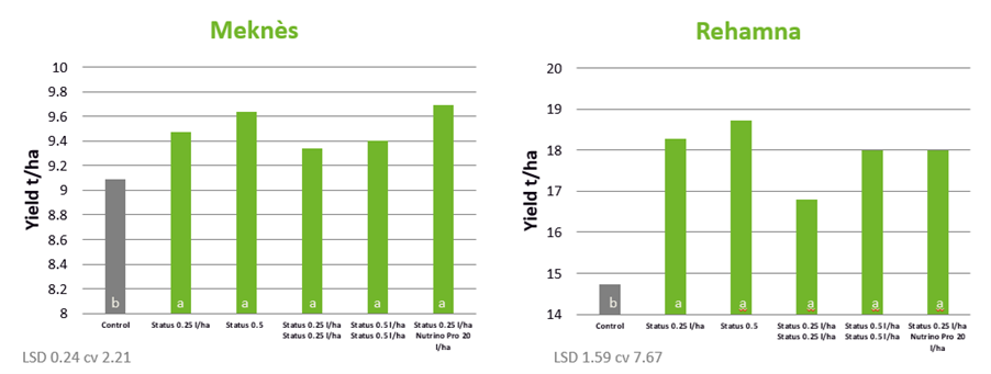 Graph showing increase of yield in Olives after biostimulant use