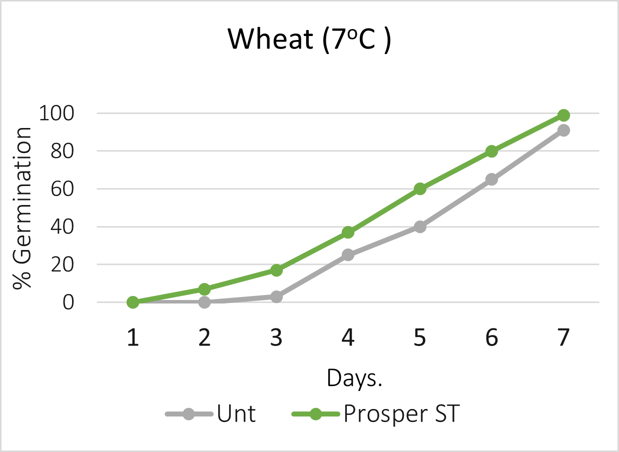 Graph showing impact of Prosper ST on wheat seeds