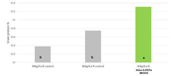 Graph showing protein content results 