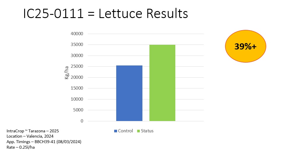Results of Status treatment on lettuce under salinity stress kg/ha