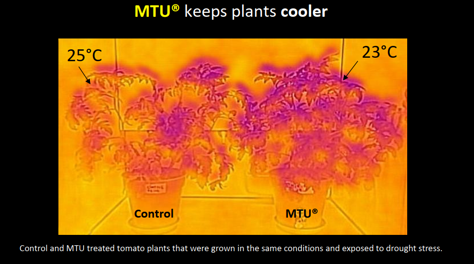 Image showing impact of MTU on heat retention
