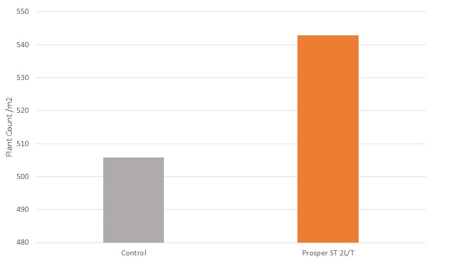 Prosper ST impact on heads per m2 in winter wheat