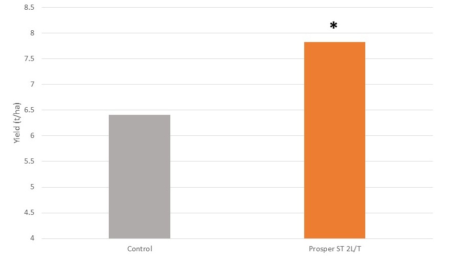 Prosper ST impact on yield