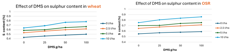dimethyl sulphone impact on wheat and OSR